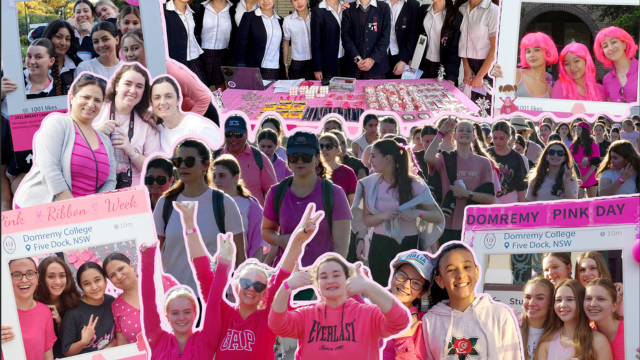 Pink Ribbon Walk &#8211; Join our Pink Hero Team in support of the National Breast Cancer Foundation