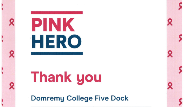 Congratulations Pink Heroes! 🩷