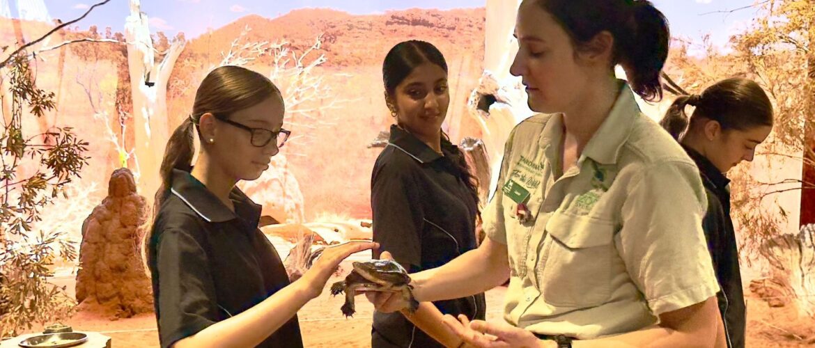 Year 8 Activities Week