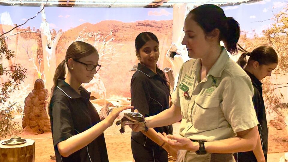 Year 8 Activities Week