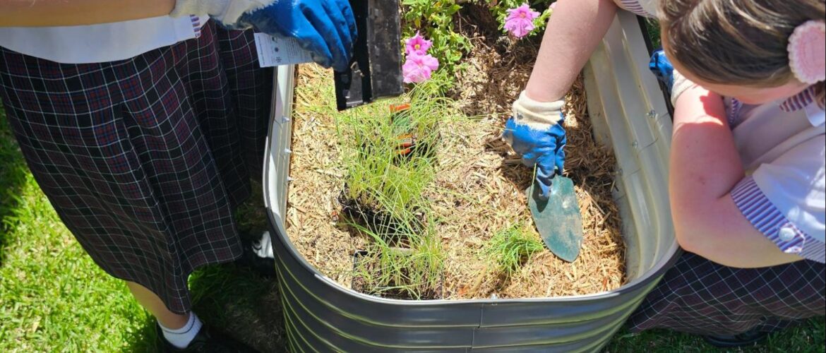 New Season, New Growth in the Laudato Si’ Garden