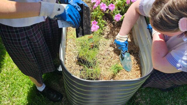 New Season, New Growth in the Laudato Si’ Garden