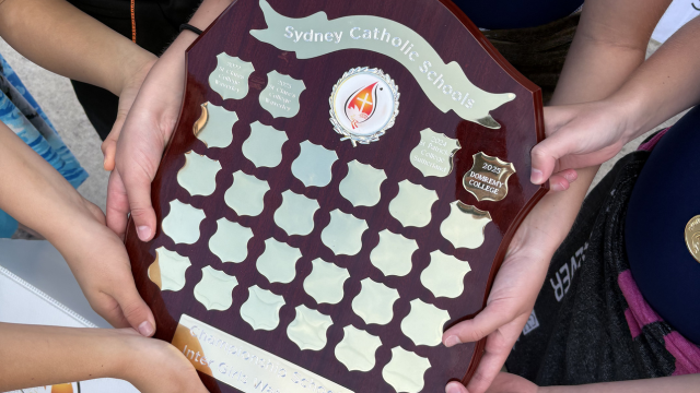 Making a Splash at Sydney Catholic School Championships: Gold and Bronze for Domremy