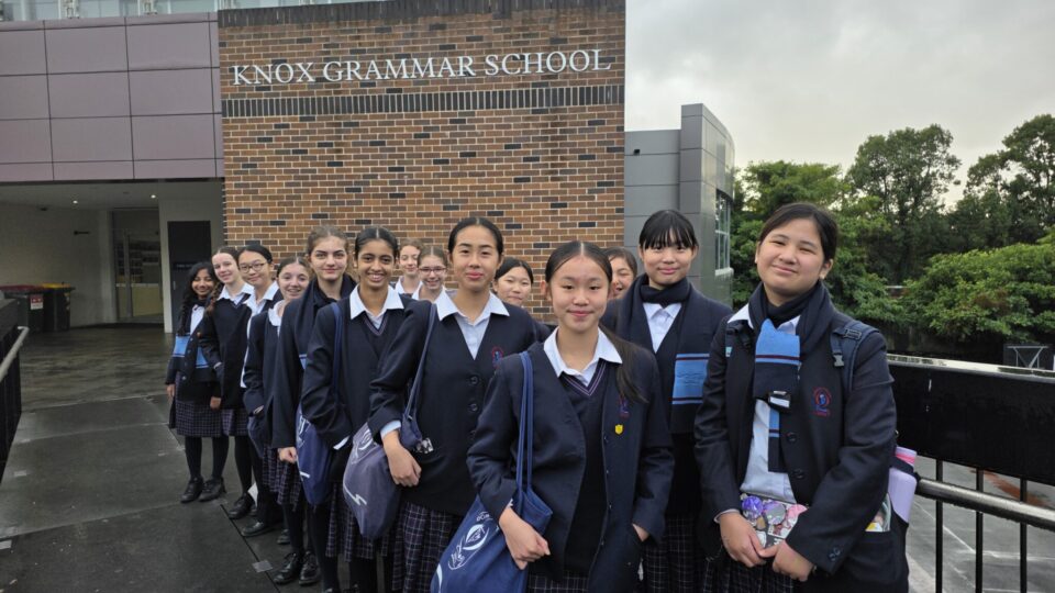 The Minds of Tomorrow: Our Teams at the Da Vinci Decathlon