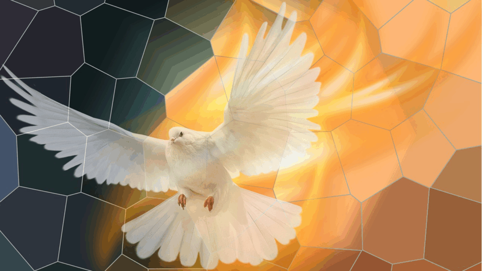 From the Religious Education Coordinator – In our Church …