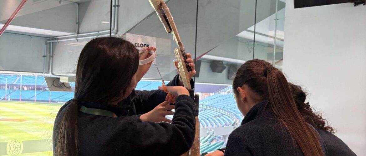 Year 10 PASS excursion to Sydney Cricket Ground and Allianz Stadium, Moore Park