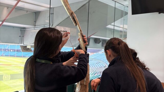 Year 10 PASS excursion to Sydney Cricket Ground and Allianz Stadium, Moore Park