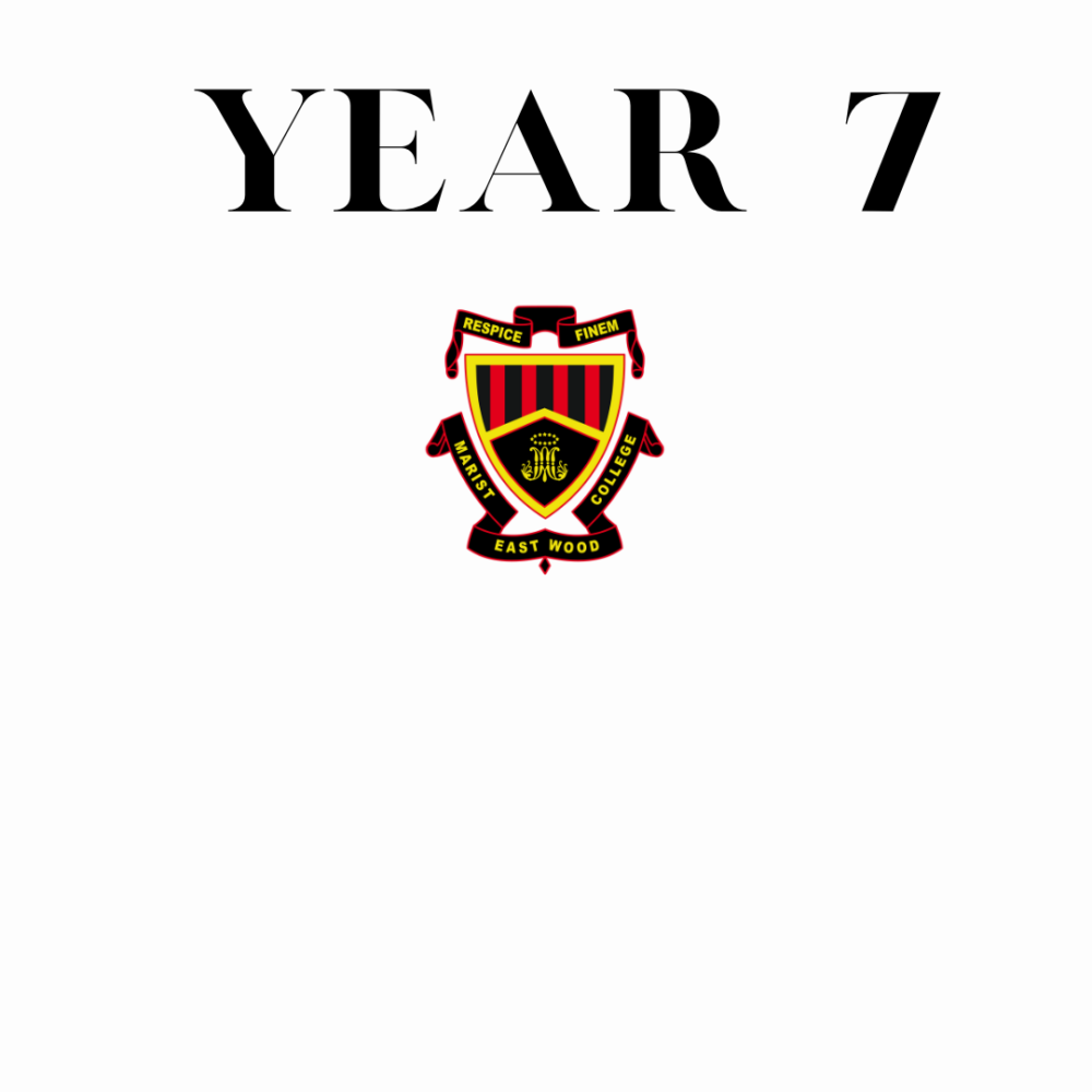 Year 7 Report