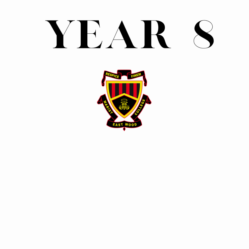 Year 8 Report
