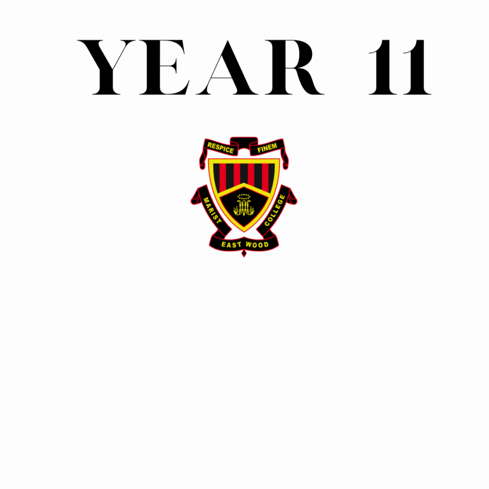 Year 11 Report