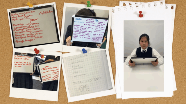 Junior School Mathematicians Excel on the State Stage