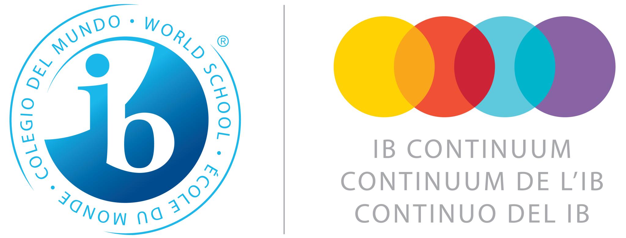 IB