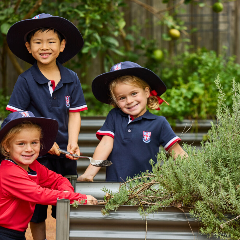 Pre-schools’ News – Week 9
