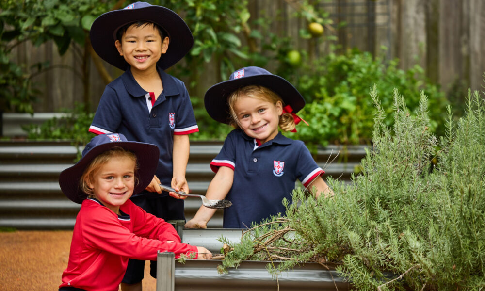 Pre-schools’ News – Week 9