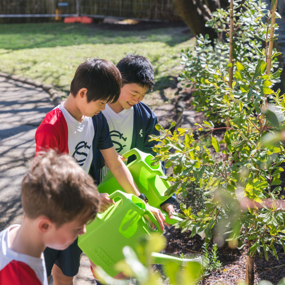 Year 6 Environmental Leaders Bring New Native Garden to Life