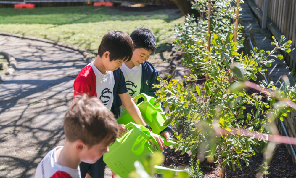 Year 6 Environmental Leaders Bring New Native Garden to Life