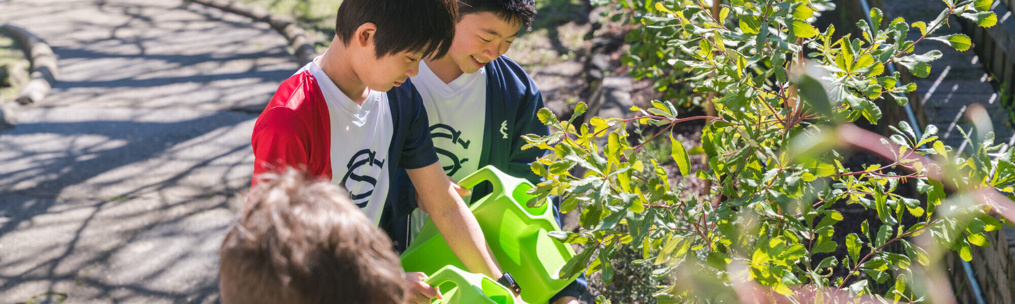 Year 6 Environmental Leaders Bring New Native Garden to Life