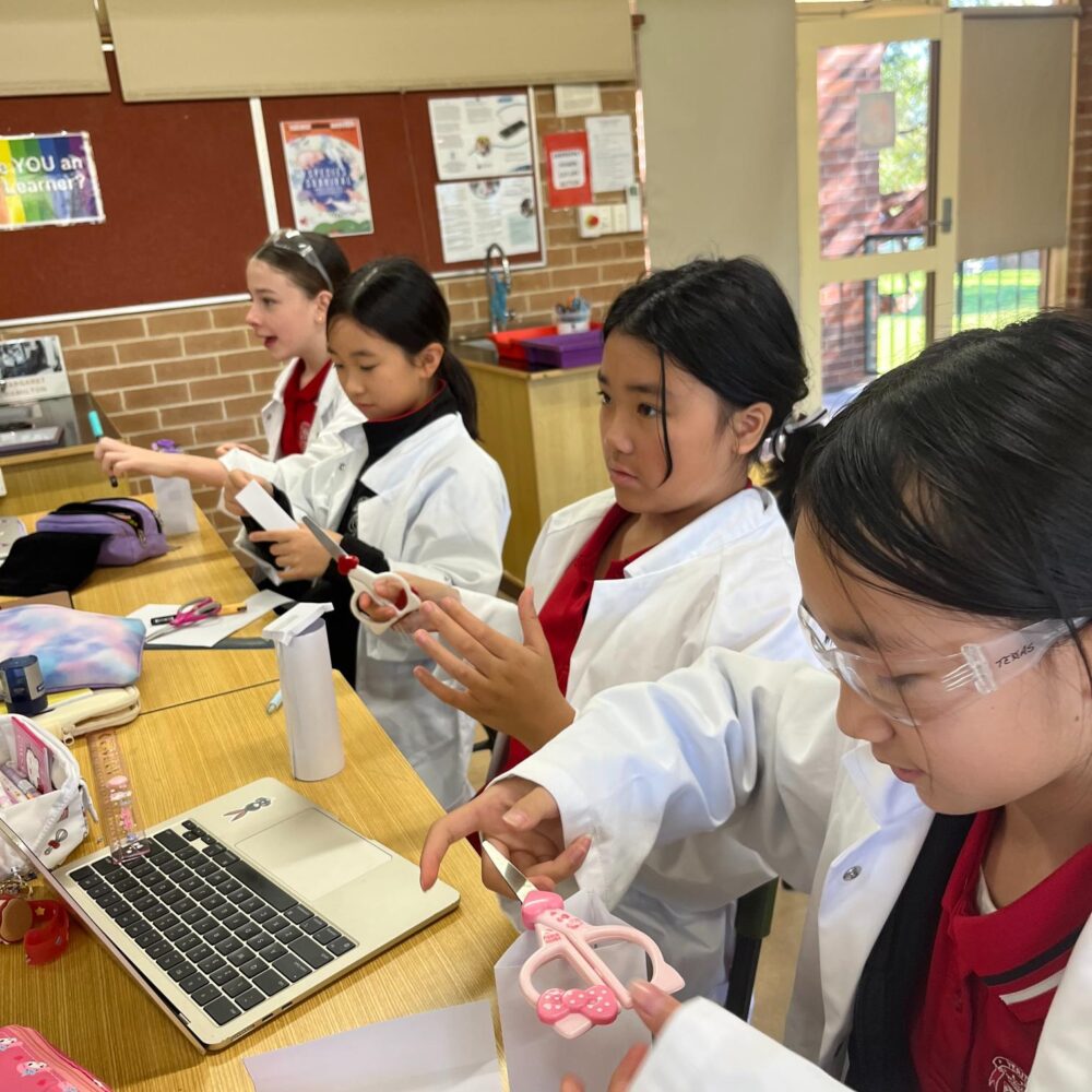 What&#8217;s happening in Year 5