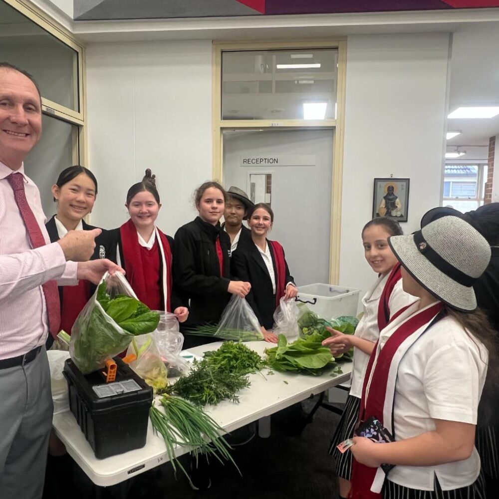 The Kitchen Garden Club – fresh produce markets