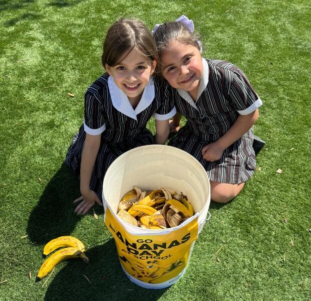 Assistant Head of Primary P-4 and Curriculum Leader P-4