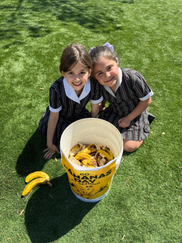 Go Bananas 1 Assistant Head of Primary P-4 and Curriculum Leader P-4