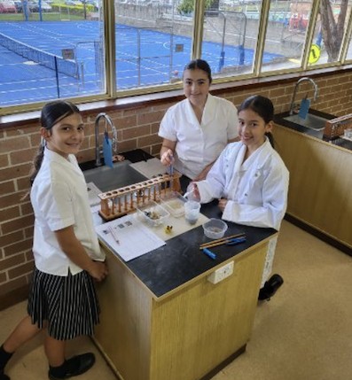 Year 6 Curriculum Overviews