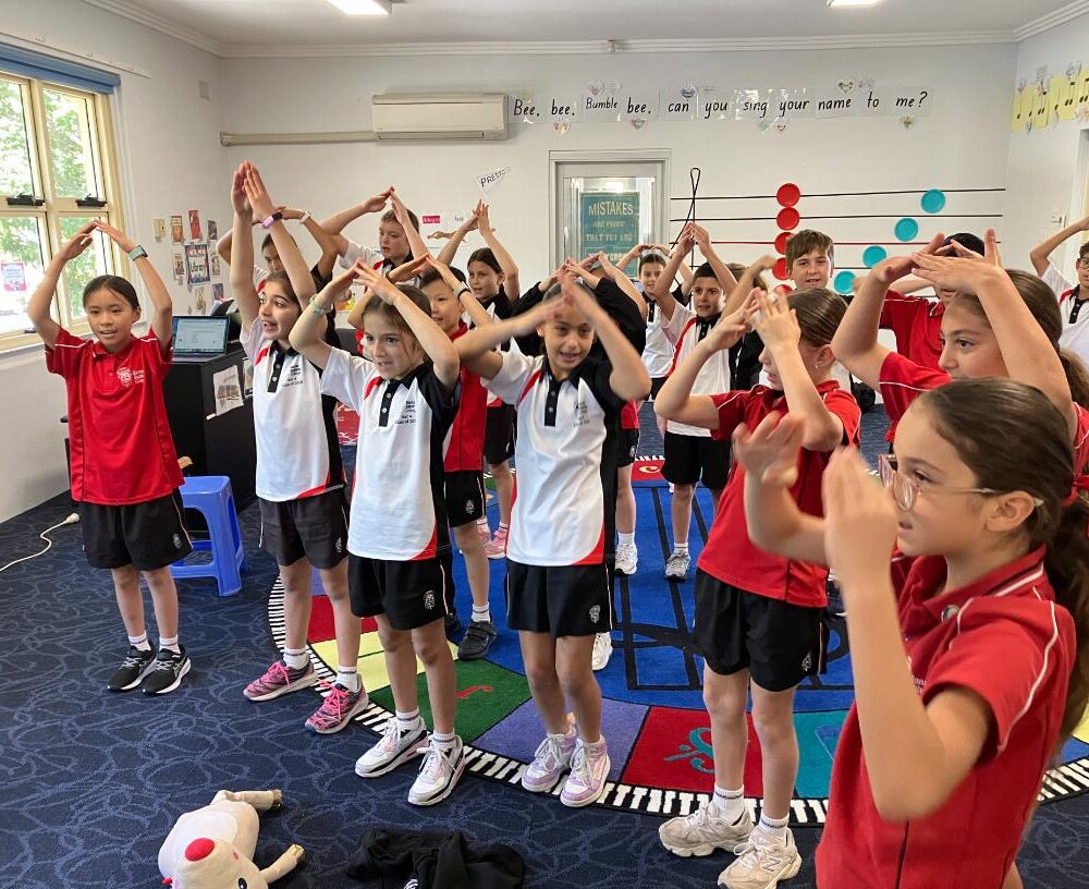 Music at Del Monte and MBH (Curriculum)