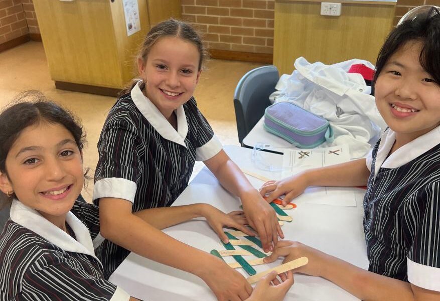 What&#8217;s happening in Year 5