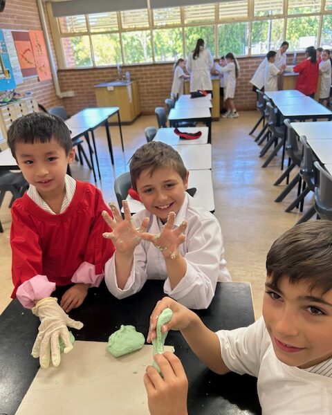 Assistant Head of Primary P-4 and Curriculum Leader P-4