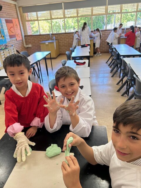 Assistant Head of Primary P-4 and Curriculum Leader P-4