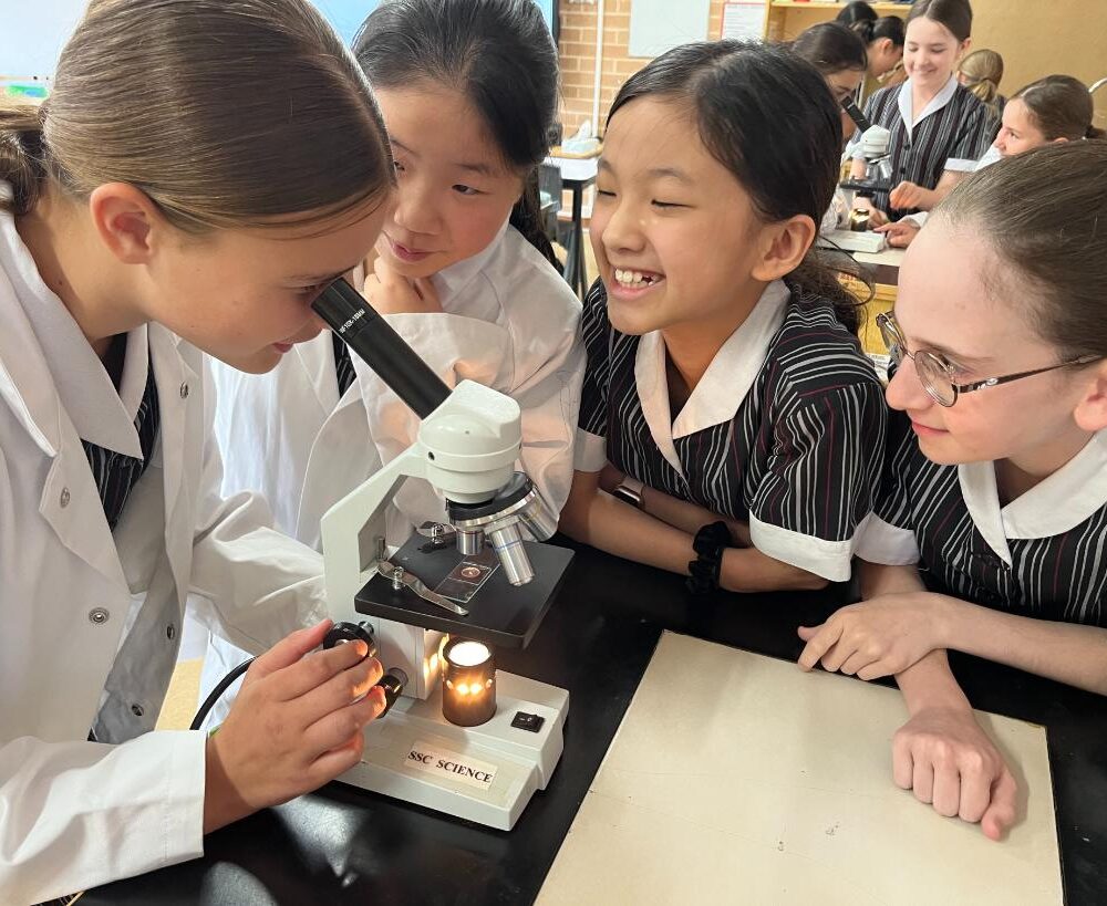 What&#8217;s happening in Year 5