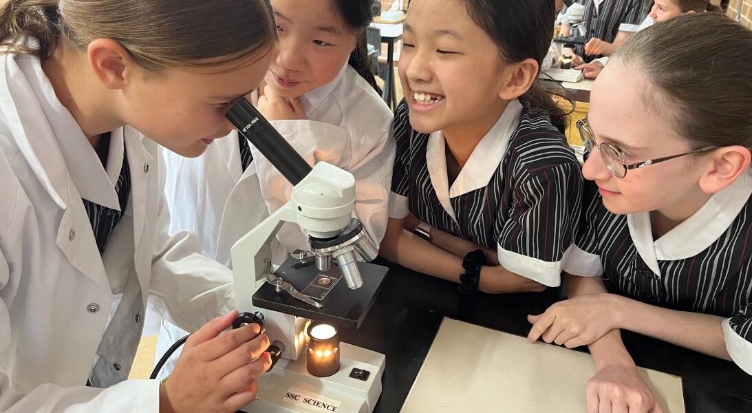 What&#8217;s happening in Year 5