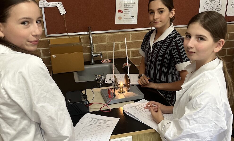 What&#8217;s happening in Year 6