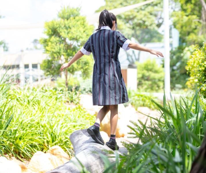 Curriculum in Gioia House