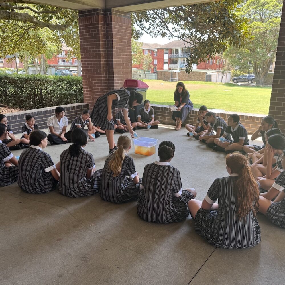 Critical Thinking in Year 8 Geography