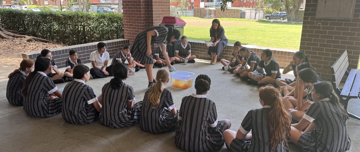 Critical Thinking in Year 8 Geography