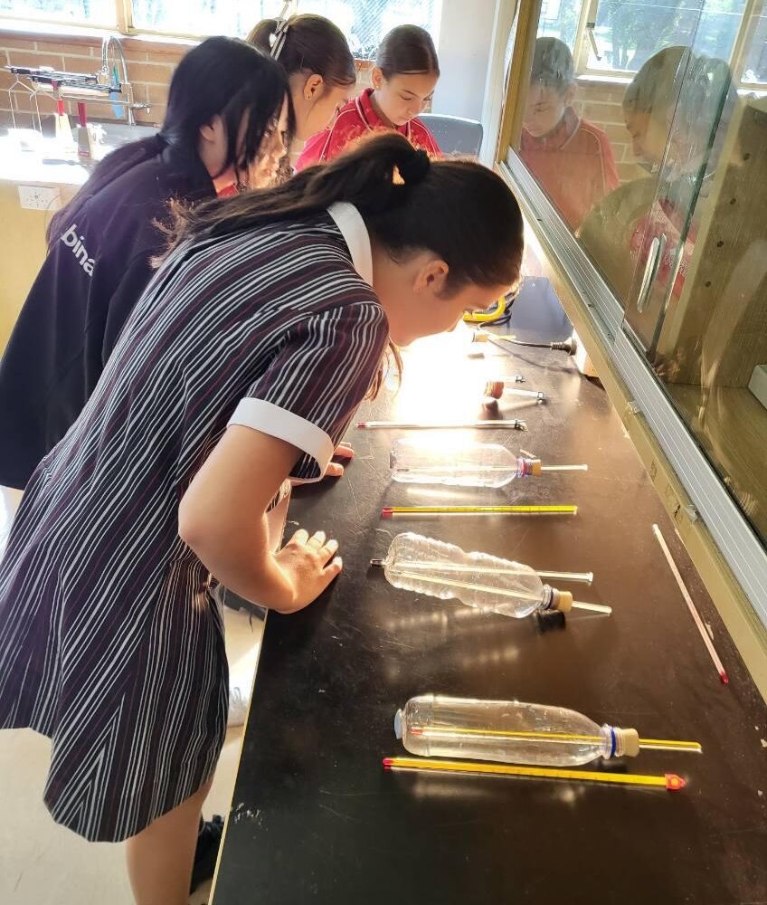 What’s happening in Year 6