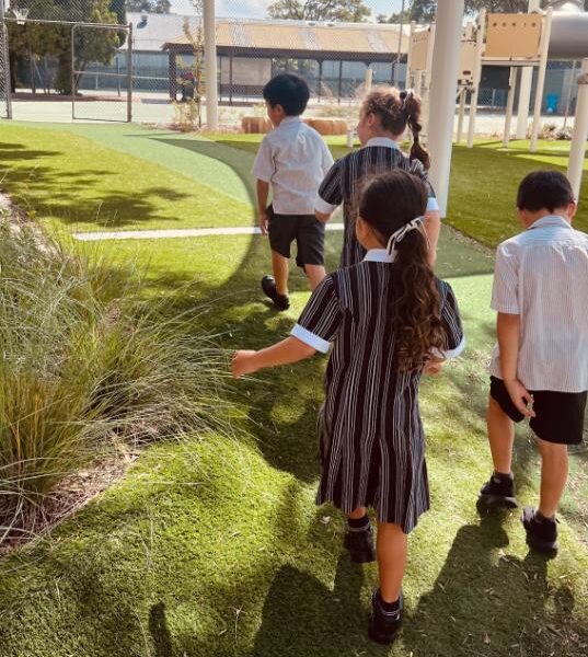 Assistant Head of Primary P-4 and Gifted Education Coordinator P-6