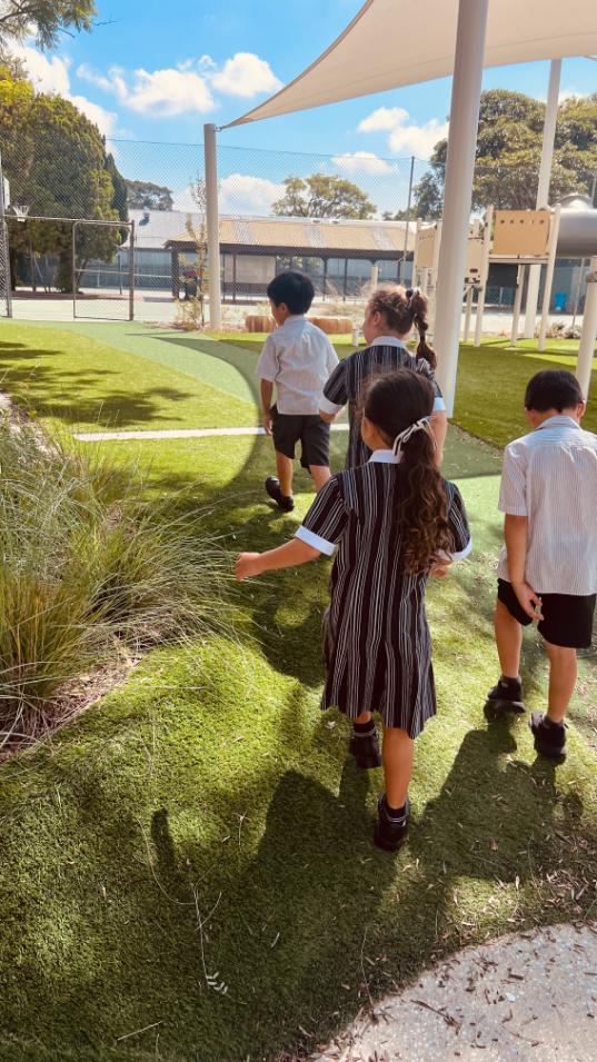 Assistant Head of Primary P-4 and Gifted Education Coordinator P-6