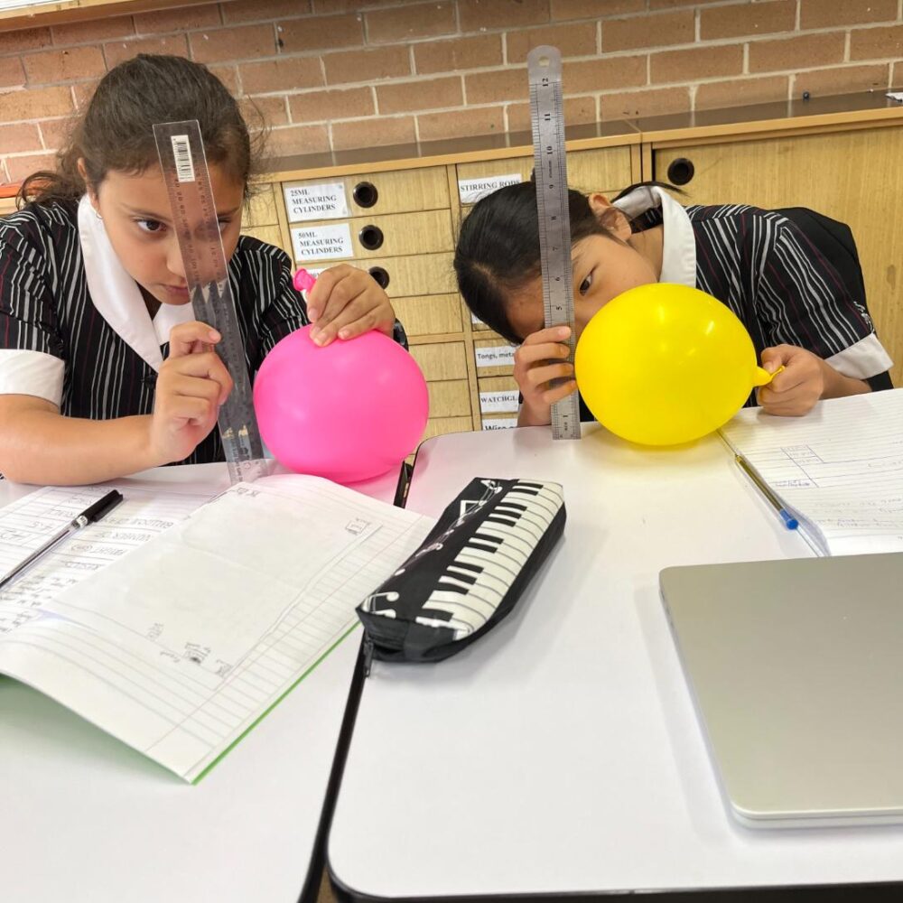 What’s happening in Year 5