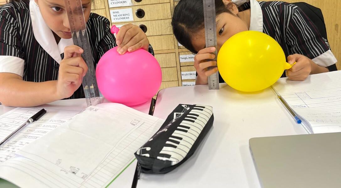 What’s happening in Year 5