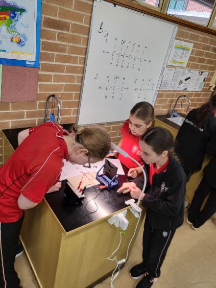 What’s happening in Year 6