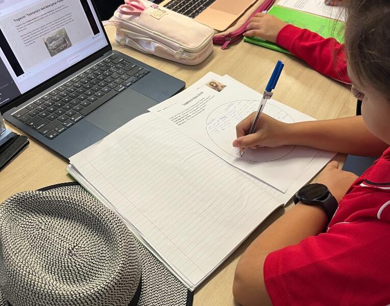 Curriculum Updates