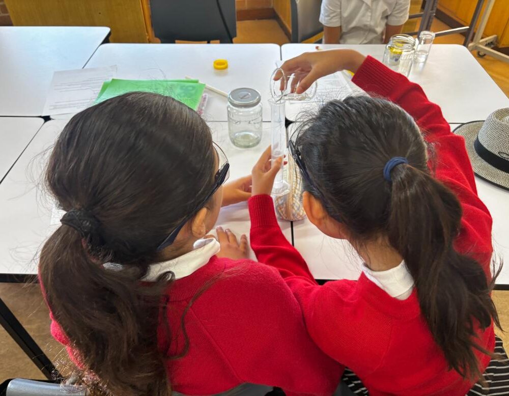 What’s happening in Year 5