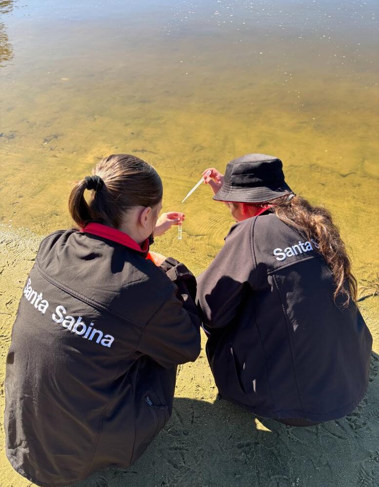 Year 9 Interdisciplinary Geography and Science Field Work