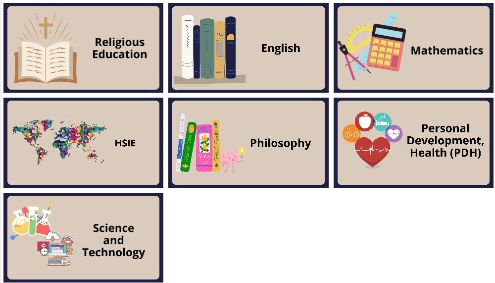 Curriculum Updates