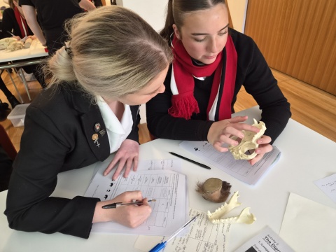 Biological Diversity Day