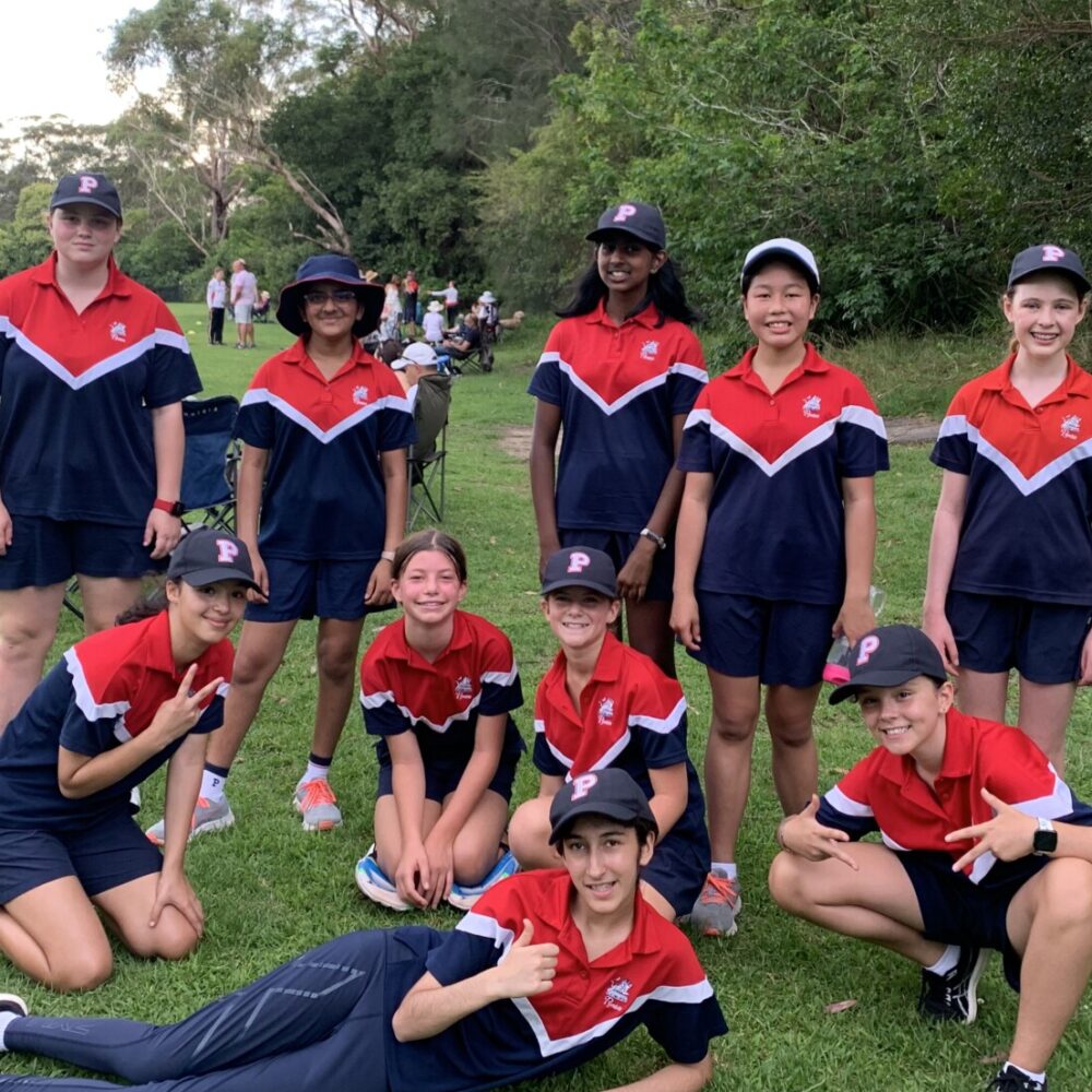 Cricket