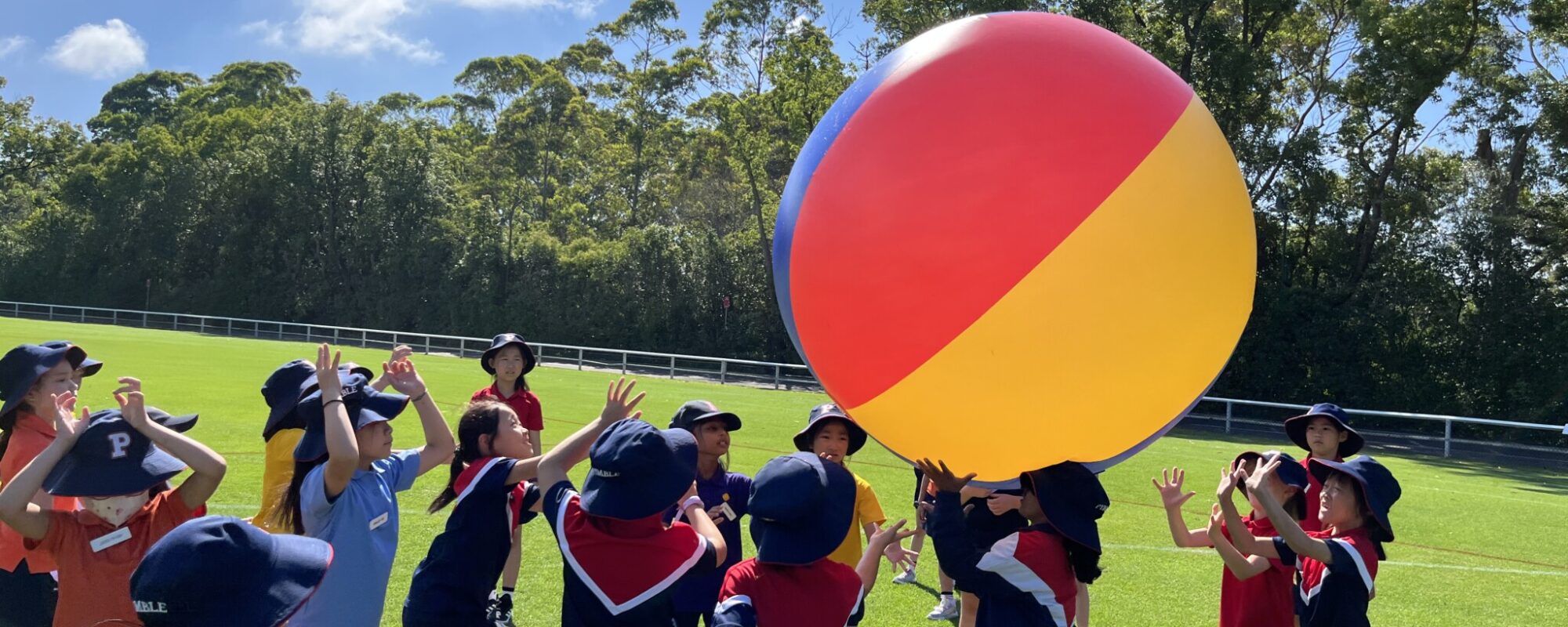 From the Junior School
