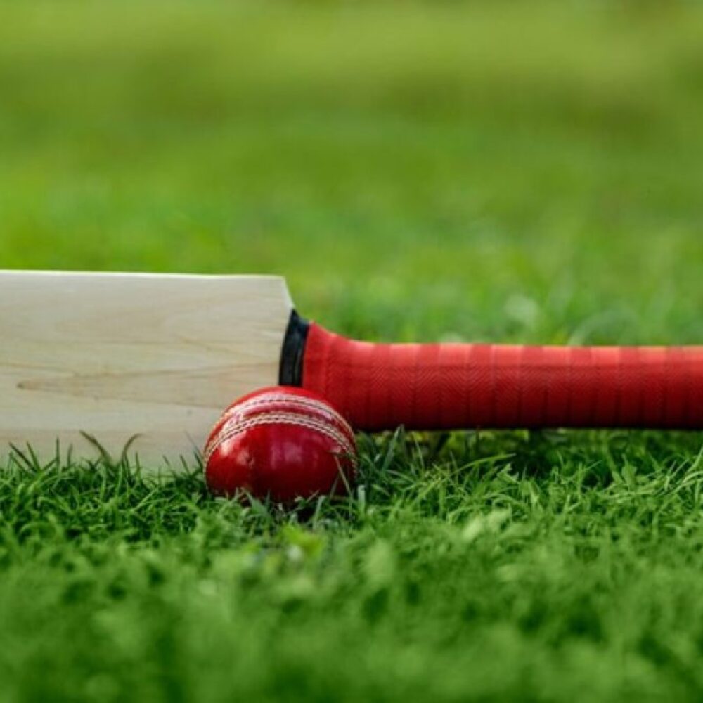 Cricket